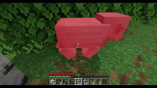知的＆天然、＃時系列　PC　#マインクラフト 　違うバージョン.音量注意。毎日が、怨霊です～マイペース配信４７