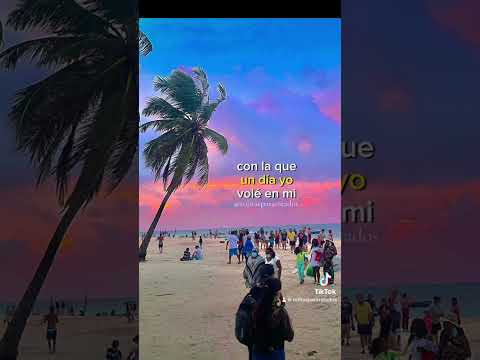 No te detengas - Miguel morales 🏝️🍀❤️‍🔥