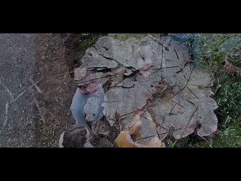 Rå - a transgressive film by Jojanneke, Lena, Viktorija