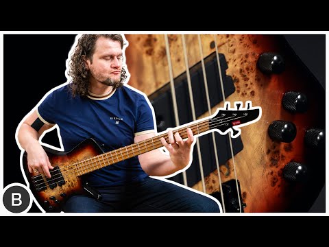 STUNNING AFFORDABLE MULTISCALE BASS !!