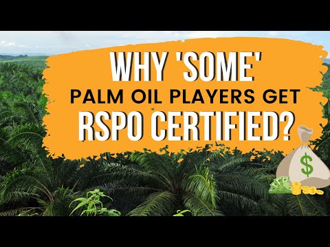 Why 'some' palm oil players get RSPO certified? (2022)