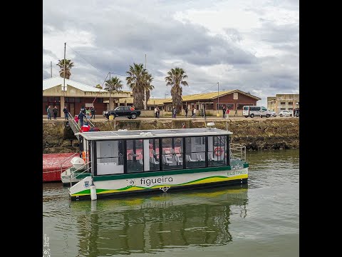 Viagens experimentais entre as margens do rio Mondego