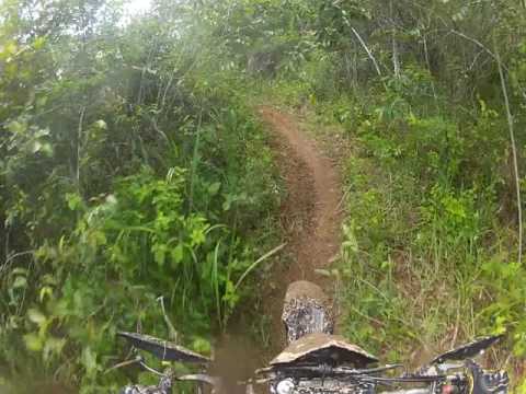 TRILHA DOS TRABALHADORES #1