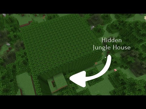 Insane Hidden Jungle House Build!