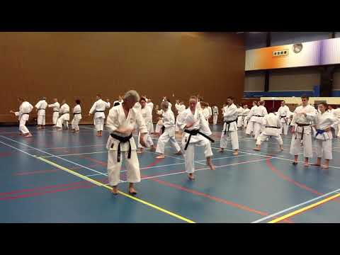 Kata Anan Soke Inoue