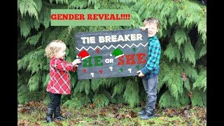 Gender Reveal (Tie Breaker!!) - plus quick pregnancy update/what to expect