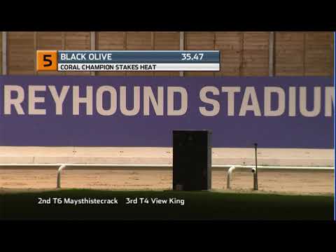 2020 CORAL PUPPY CUP - HEAT 4 - T5 DROOPYS AOIFE