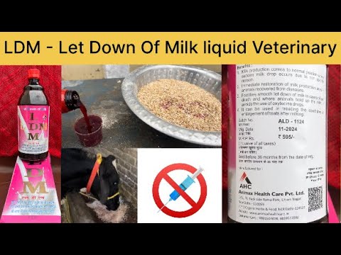 LDM ( Let Down Of Milk ) #ldm