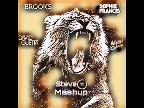 Sophie Francis vs. Martin Garrix, David Guetta & Brooks - Bad Boy Animals Like I Do (Steve π Mashup)