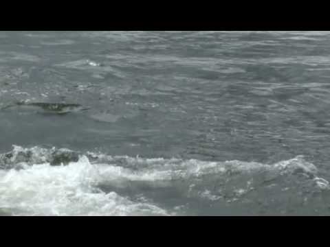 2010 Lusowo Triathlon_2