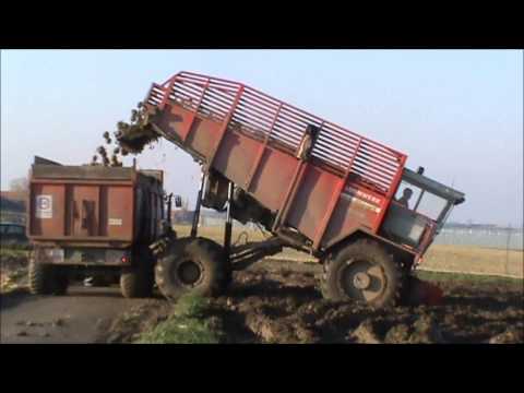 Loonw. Watteyne - Sint-Jan