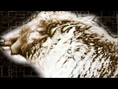 Art Of Trance - Praxia [Original Mix]  [Platipus]   *Official Video*