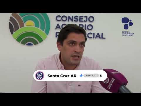 Portada video