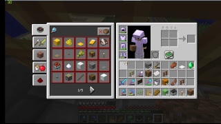 【マインクラフト】♯58日目