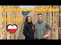 Firewood : Kiln dried high-quality hardwood in nets - фото 1