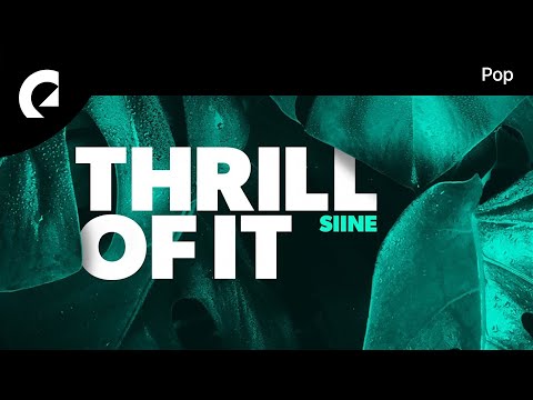 Siine - Thrill Of It (Instrumental Version)