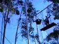 Beth Trapeze