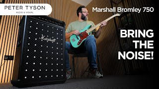 Video thumbnail for Marshall Bromley 750 : Coolest Party Speaker EVER!! by Peter Tyson Audio & Visual