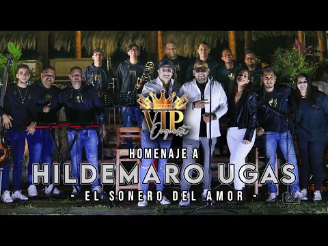 Hildemaro Mix - VIP Orquesta