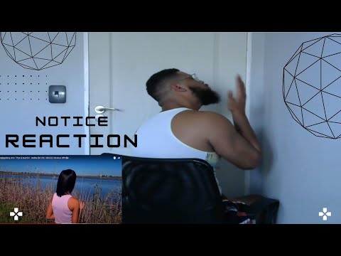 BeejayyBaby, Mnr. Thys & Marti-K - Notice (MUSIC VIDEO REACTION)