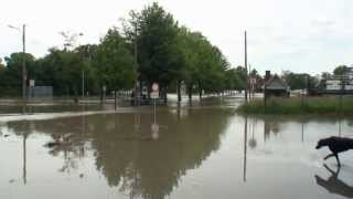 preview picture of video 'Kühkopffilm- Hochwasser am 3.6.13- Gernsheim-Klein Rohrheim -Biebesheim'