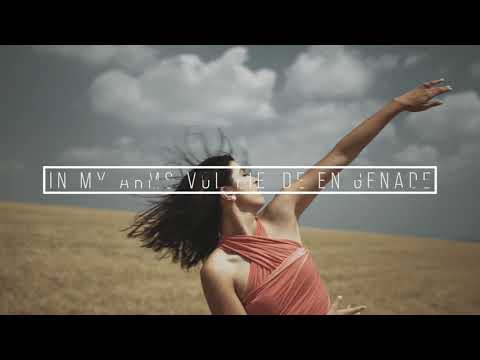 Dewald Gouws - Meesterstuk