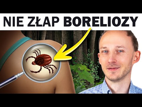 Jak uniknąć kleszczy i nie złapać boreliozy? Najlepsze sposoby
