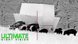 Night Vision Hog Hunting | 60 Hogs Down with the Insight LWTS &amp; White Phosphor NV