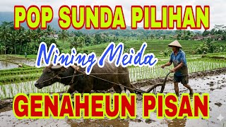 Download lagu Best of Nining Meida 2026: The Most Enjoyable Sundanese Songs to Listen to While Relaxing mp3