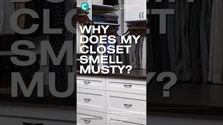 Why Does My Closet Smell Musty?  | #shorts