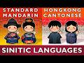 Can Mandarin Speakers Understand Cantonese