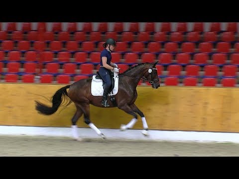 Avenida Romance St v For Romance x Dormello 2017