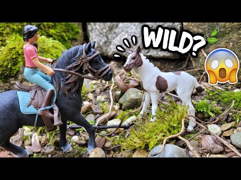 The WILD foal?! 🐎😱🍀 Schleich [Part 1/2] 💗