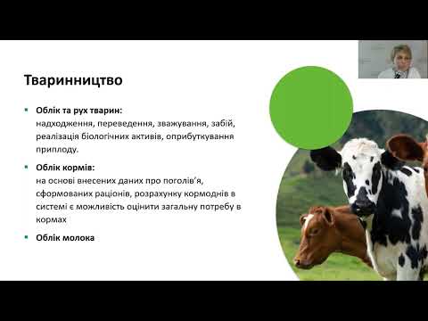 Управління агробізнесом без стресу: реальний досвід впровадження "BAS АГРО. Комплексне управління підприємством"