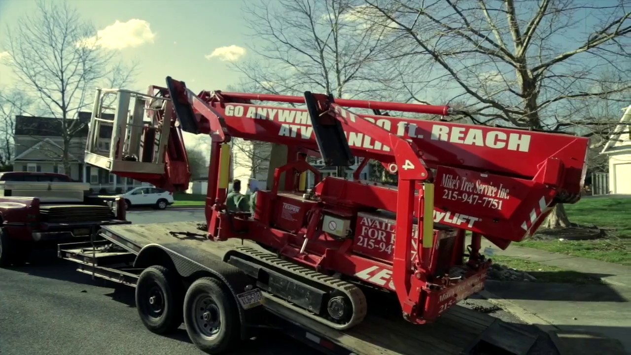 Mike's Tree Service, Inc.