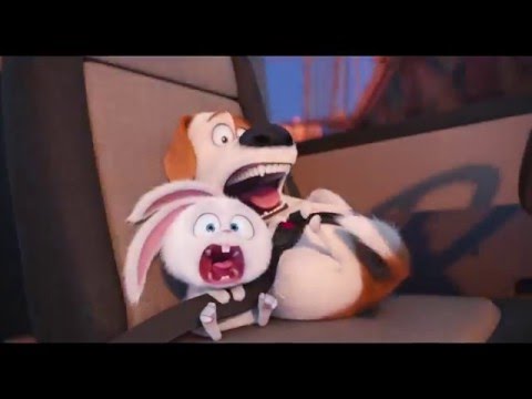 The Secret Life Of Pets | Official New Trailer | Universal Pictures Canada