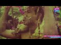 Srivalli Hrudayaniki Video Song Shivaratri Telugu Movie Song Sarath Babu Shobana YOYO TV Music