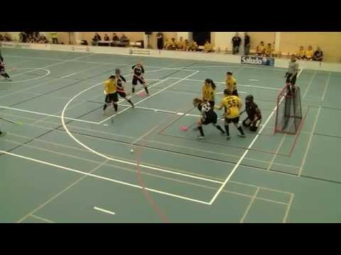 Maalikooste C tytöt SM 2 välierä SB Pro Indians 13 4 2014