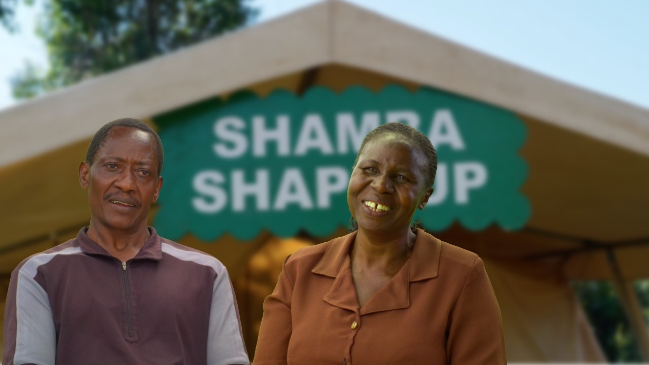 Shamba Shape Up Series 16 – Episode 8: In-Calf Care, Pest Management, Avocado and Women group (Eng)
