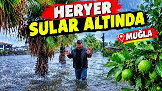 GÖKYÜZÜ ÇILDIRDI! 🌧️ Yağmur Tarlaları Göle Çevirdi | Muğla Güzelyurt Köyü