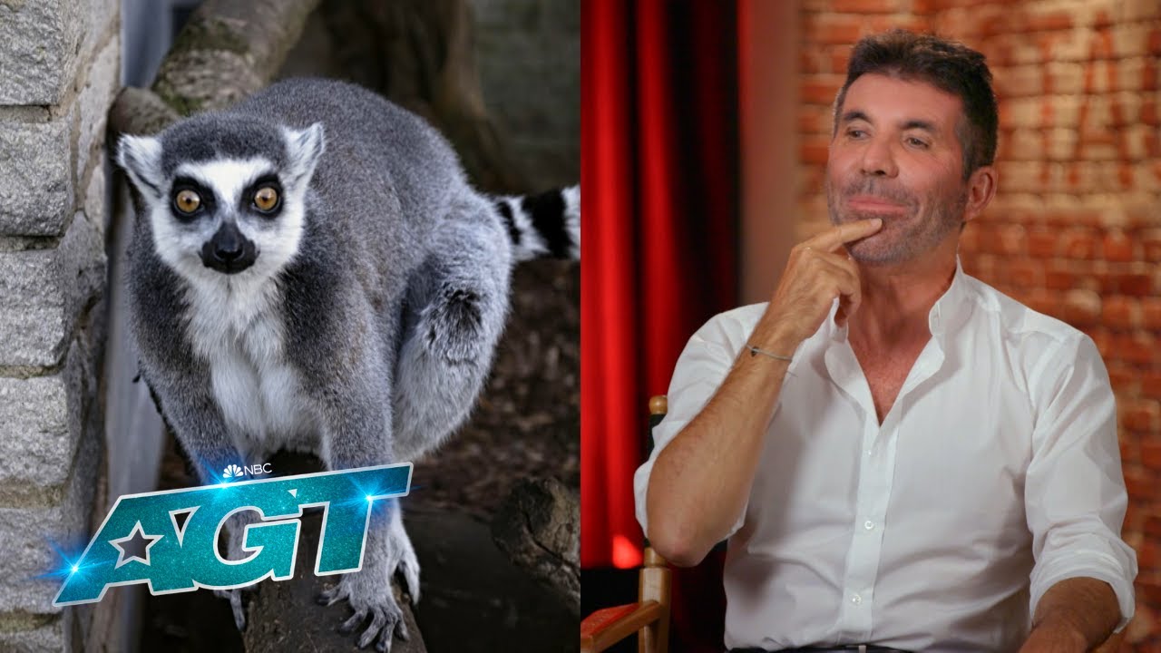 The AGT Judges Answer YOUR Questions | AGT 2022 thumbnail