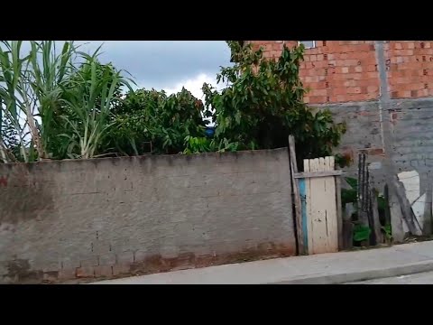 Vento forte, itapitanga-Bahia 