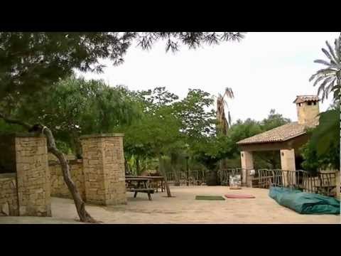 FUNNY - ANIMALS *COUNTRY  RANCH* [ HD ] # 1 **for my Friends**