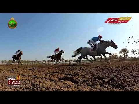 الشوط الثالث - السباق الثاني - الرحبة 25/10/2019 Race 3-2nd meeting