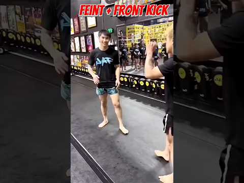 #feint front kick #mma #kickboxing #kungfu #muaythai #selfdifence #martialarts #viral #kickworkout