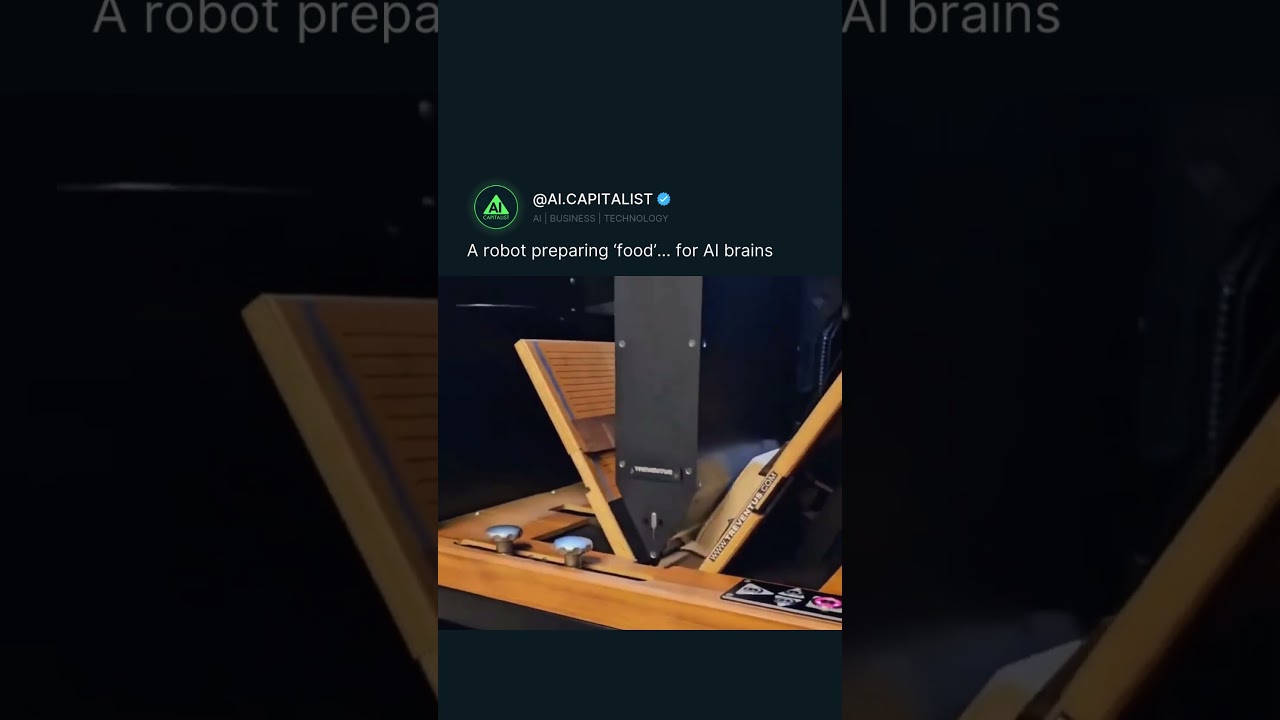 This Machine DEVOURS Books to Feed AI Knowledge!