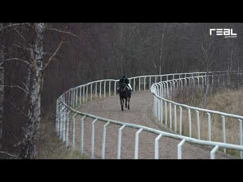 Galoppövning med Svensk Galopp på Jägersro