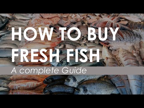 YouTube video about: Where can I buy fresh buffalo fish?