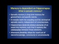 Carol Tamminga - Psychosis as a Learning and Memory Disorder
