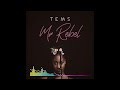 Tems - Mr Rebel [Audio]
